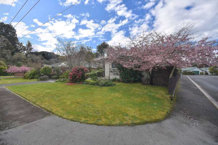 139 North Taieri Road Abbotsford_23