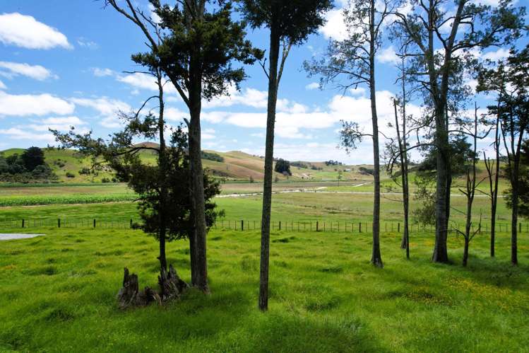 Lot Lot 3 Sills Road Dargaville_24