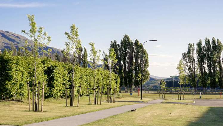 Orchard Park Wanaka_25
