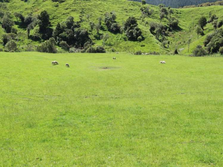 934 Coonoor Road Pahiatua_16