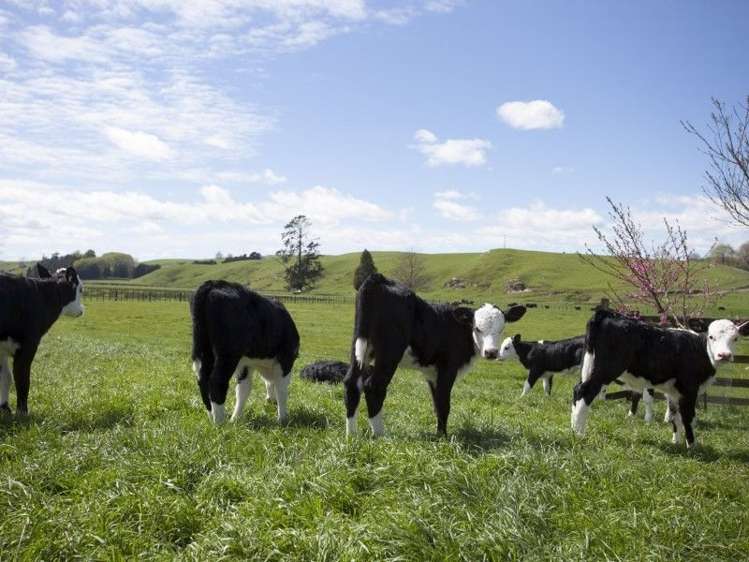 5889 State Highway 29 Karapiro_2