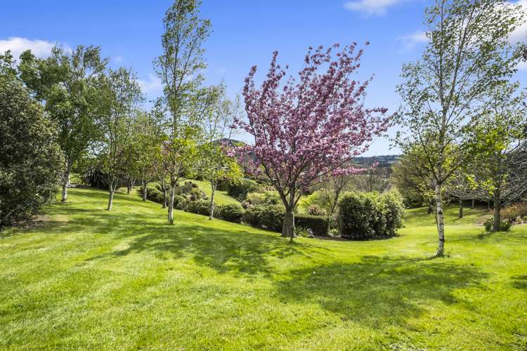 8 Wavy Knowes Drive Waldronville_20