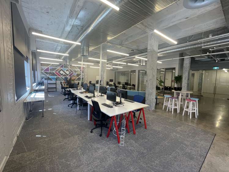 24 Balfour Road Parnell_5