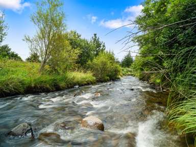 30B Thompsons Track_1