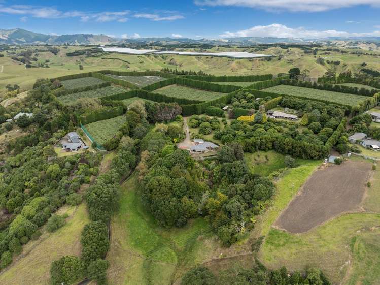 70B Thompson Road_5