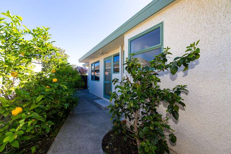 13a Harris Street Greenmeadows_12