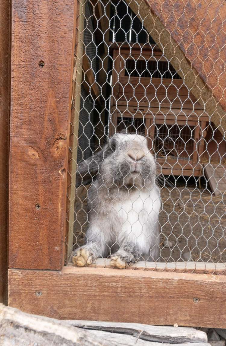 43 Church Street Oxford_16