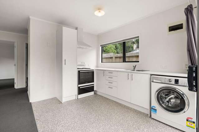19A Matipo Crescent 1136_1