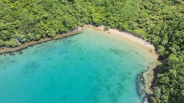 236 Tumbledown Bay Road Port Underwood_4