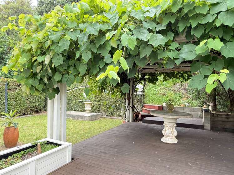 30 Kate Sheppard Avenue Torbay_30