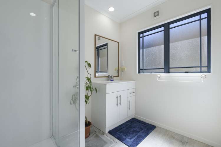 33 Collingwood Street Judea_11