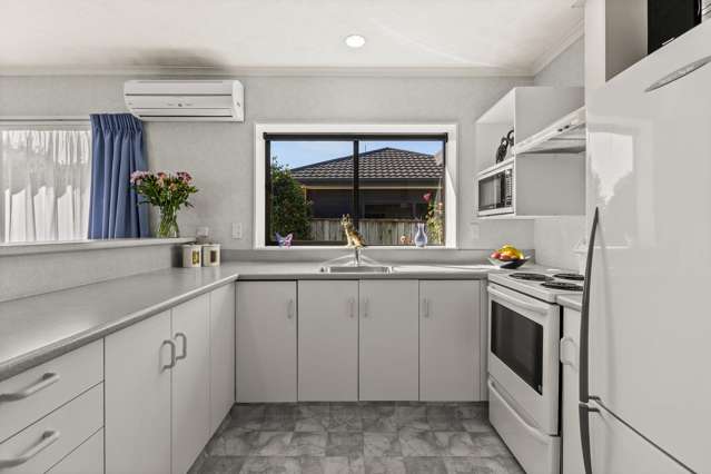 177b Auckland Road Greenmeadows_1