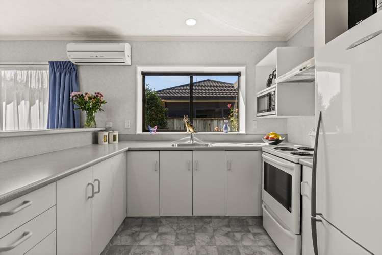 177b Auckland Road_1