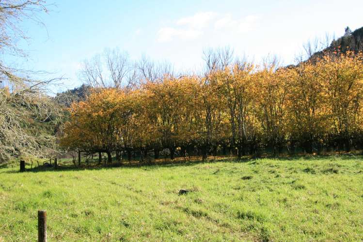 268 Piko Road Okoki_20