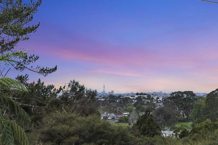 61 Don Buck Road Massey_14