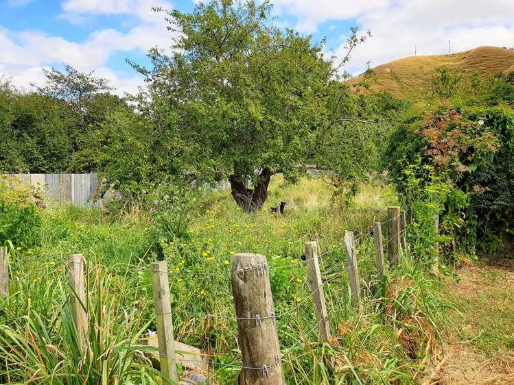 6 Ihupuku Street Waitotara_9