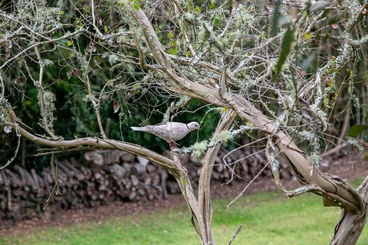 182 Thornton Road Cambridge_20