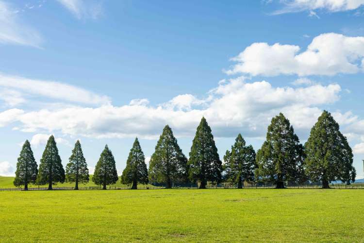 Rowallan Road Darfield_27