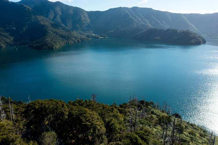 Lot 2 North West Bay Pelorus Sound_5