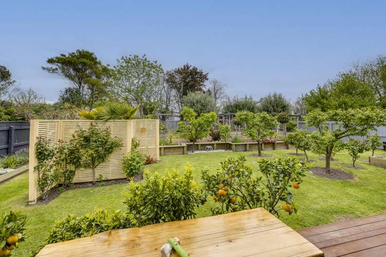 31 Napier Street Jervoistown_13