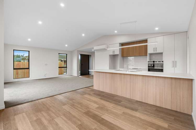 23 Blackhead Road Blackhead_28
