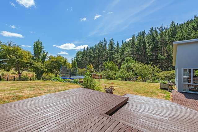 37 County Heights Drive Aokautere_2