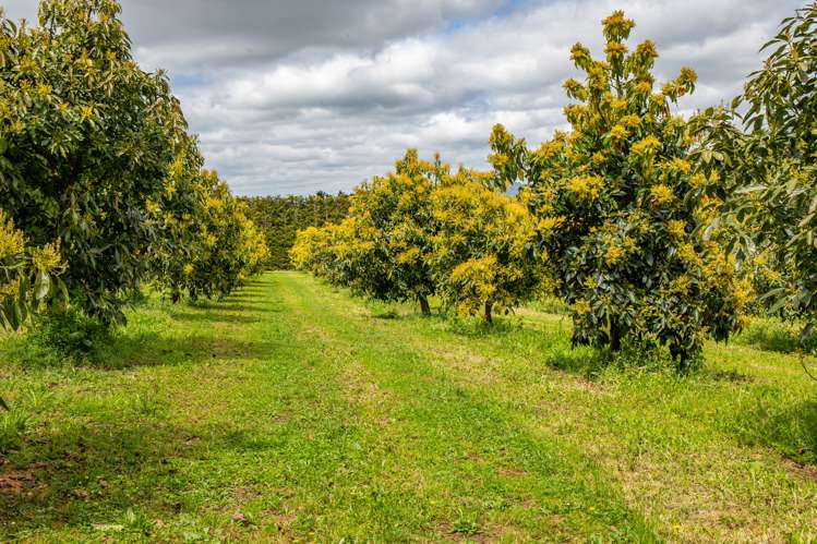 143 Norris Road Maungatapere_2