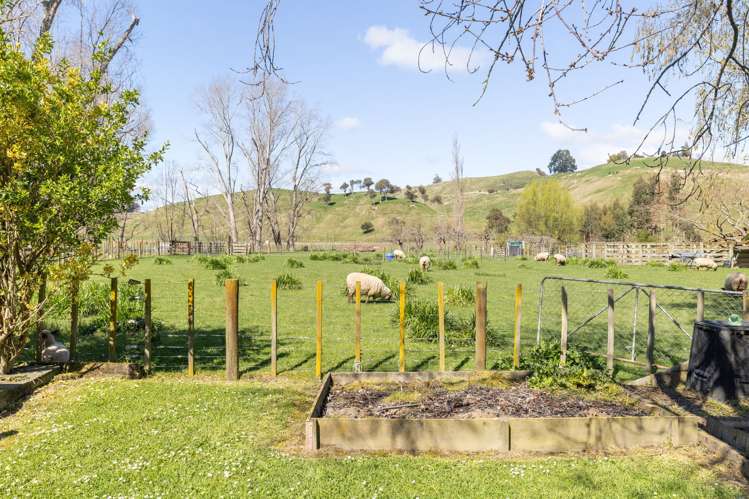 3740 State Highway 1 Hunterville_29