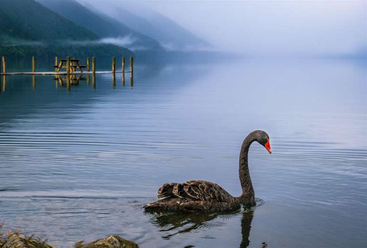 53 Porika Road Rotoroa_28