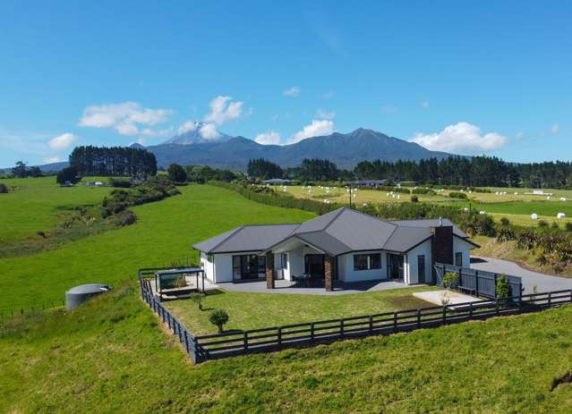 713 Plymouth Road Koru_1