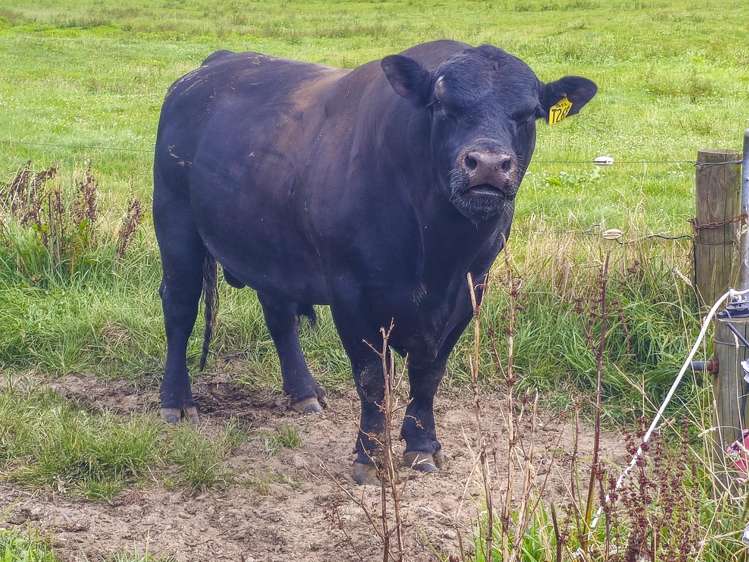 248 Lichenstein Road Okere Falls_14