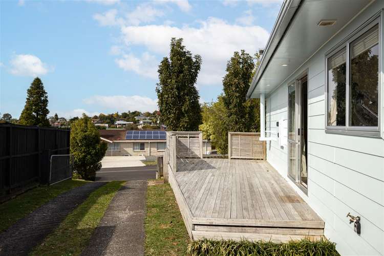 58 Rodney Street Nawton_7