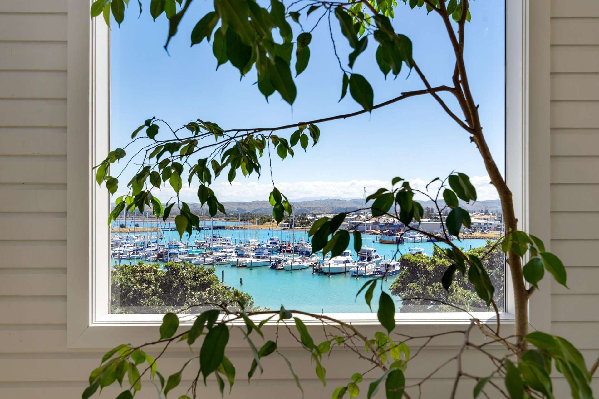 201/1 Lever Street Ahuriri_0