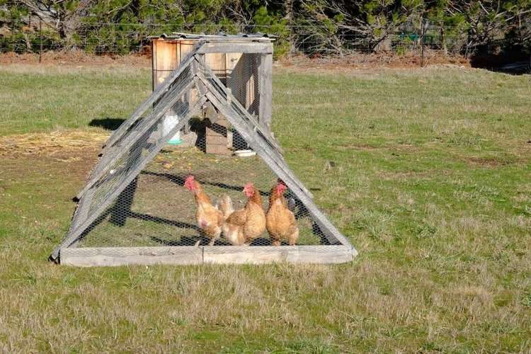 206 Mount Brown Road Amberley_4