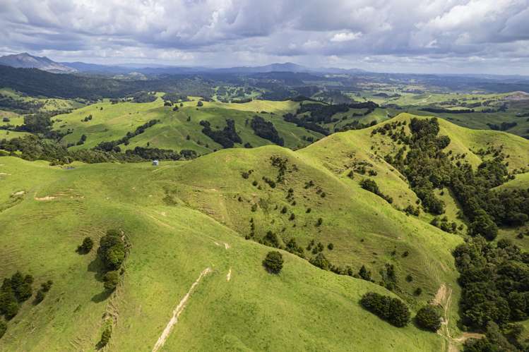 632 Marlow Road Maromaku_29