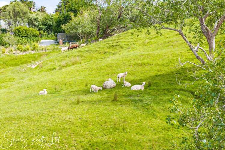 227 Porter Road Paparoa_63