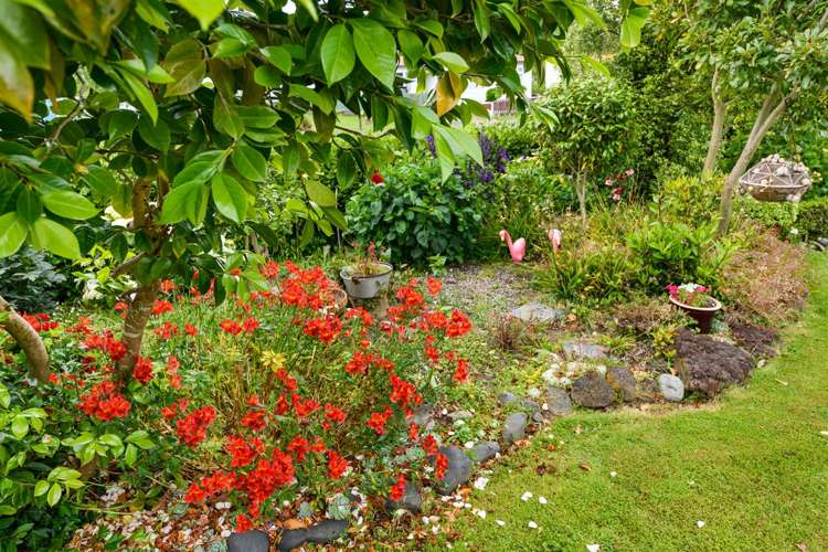 58 Skerman Street Marton_11