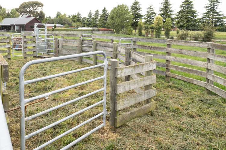 181 Mitcham Road Allenton_31