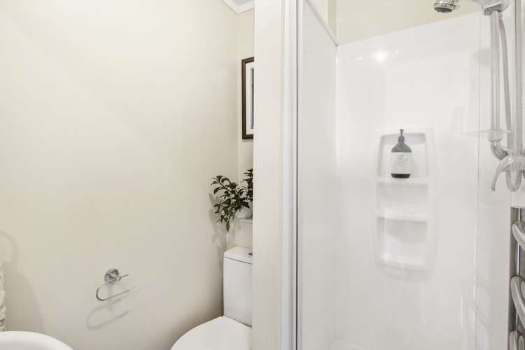 7 Lower Watt Street Wadestown_19