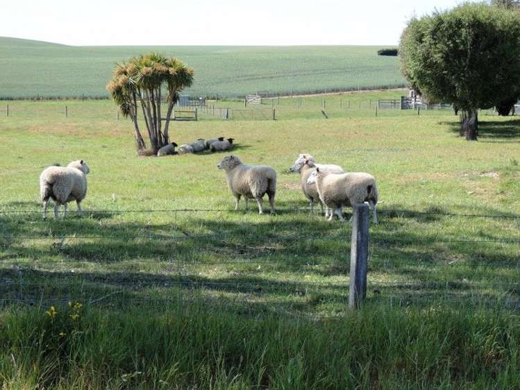 179 Caird Road St Andrews_7