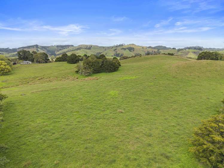559 Old Kaipara Road Kaipara Flats_23