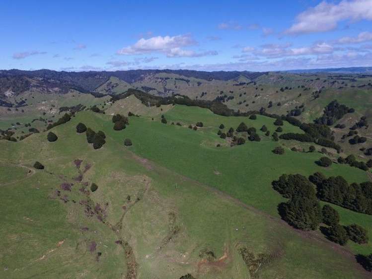 1190 Ohura Road Waimiha-Ongarue_4