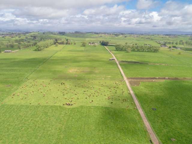 333 Tuhikaramea Road Temple View_4