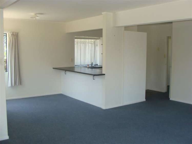 58b Carlton Street Bellevue_7