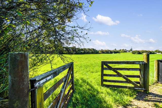 54 Abbotts Way Remuera_2