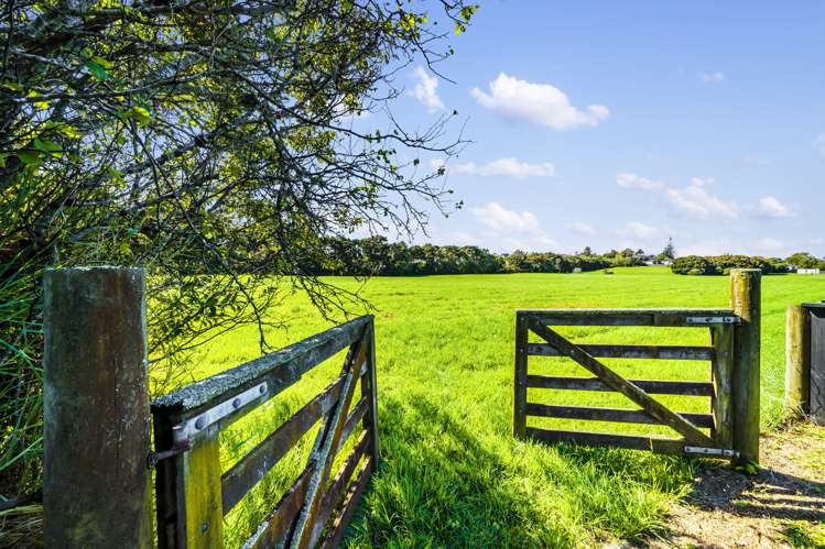 54 Abbotts Way Remuera_2