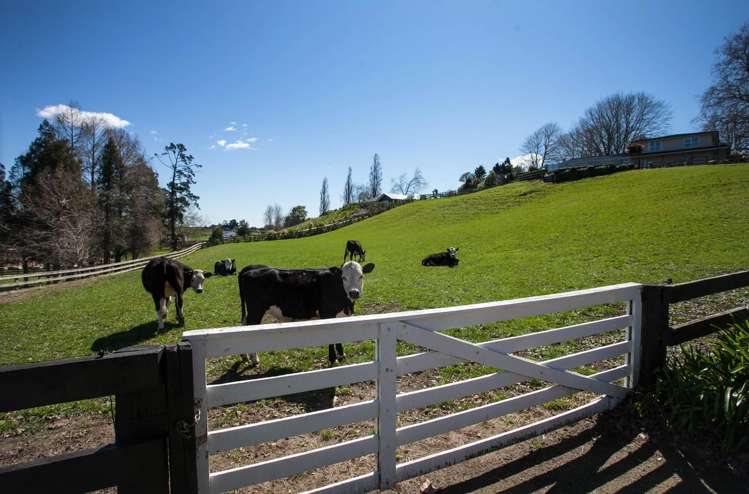 56 Hydro Road Karapiro_14