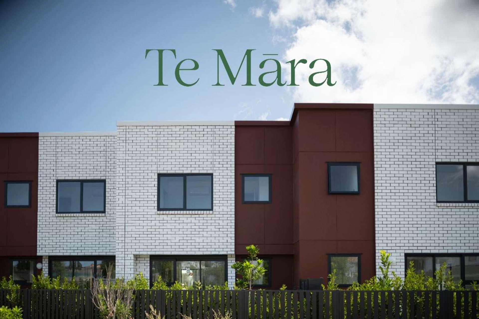 25 Freeland Avenue Mount Roskill_0