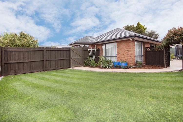 46a Seymour Street Hornby_1