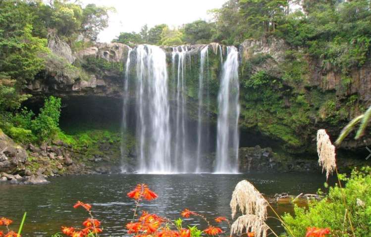 1 Wellingrove Place Kamo_8